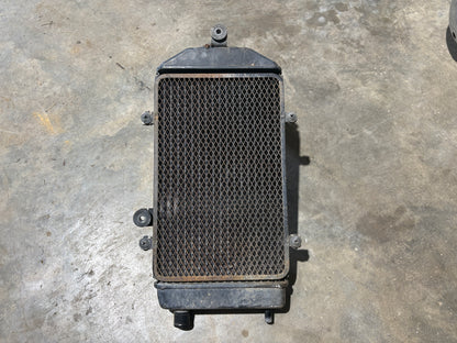 2006-2026 VN900 Radiator 39060-0029
