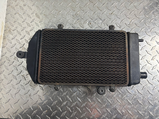 2006-2026 VN900 Radiator 39060-0029